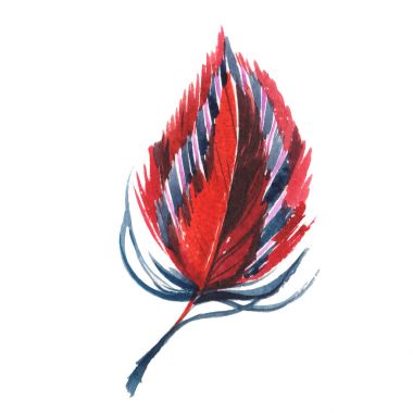 Suluboya kuş tüyü izole kanat üzerinden.