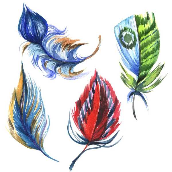 https://st3.depositphotos.com/9237796/16676/i/450/depositphotos_166767270-stock-illustration-watercolor-bird-feather-from-wing.jpg