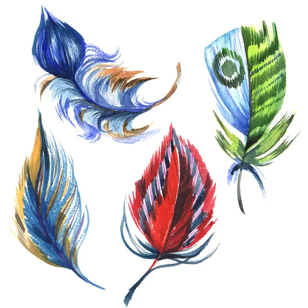 Plumas de Colores