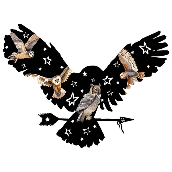 Suluboya kuş tüyü izole kanat üzerinden.