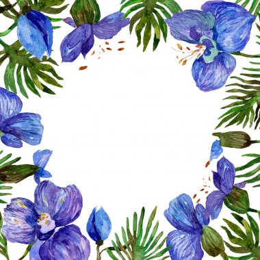 Kır çiçeği orkide çiçek çerçeve suluboya tarzında.