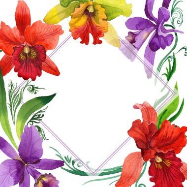 Kır çiçeği orkide çiçek çerçeve suluboya tarzında.