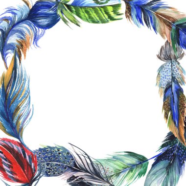 Suluboya kuş kanat tüy çerçevesinden.