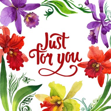 Kır çiçeği orkide çiçek çerçeve suluboya tarzında.