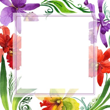 Kır çiçeği orkide çiçek çerçeve suluboya tarzında.