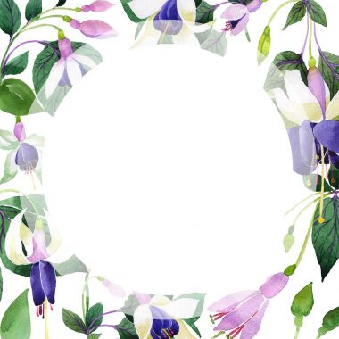 Kır çiçeği fuşya çiçek çerçeve suluboya tarzında.