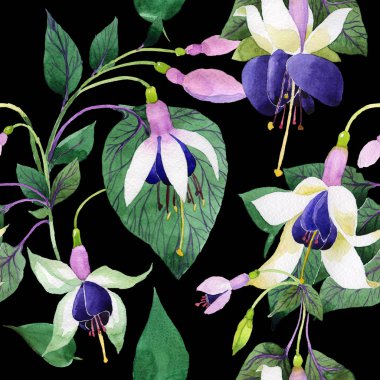 Kır çiçeği fuşya çiçek deseni suluboya tarzında.