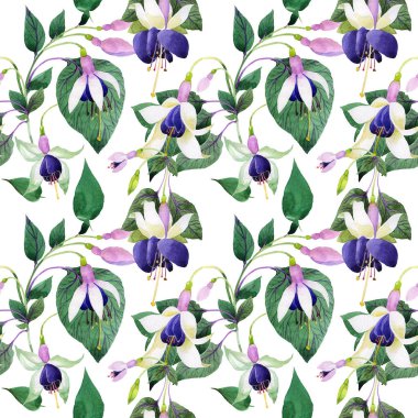 Kır çiçeği fuşya çiçek deseni suluboya tarzında.