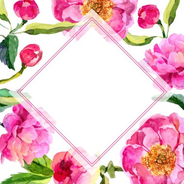 Kır çiçeği peonies çiçek çerçeve suluboya tarzında.