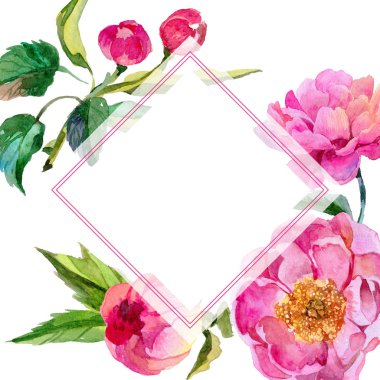 Kır çiçeği peonies çiçek çerçeve suluboya tarzında.