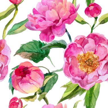 Kır çiçeği peonies çiçek deseni suluboya tarzında.