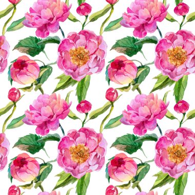 Kır çiçeği peonies çiçek deseni suluboya tarzında.