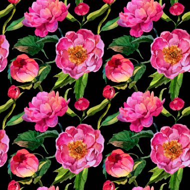 Kır çiçeği peonies çiçek deseni suluboya tarzında.