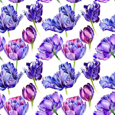 Kır çiçeği Lale çiçek deseni suluboya tarzında.