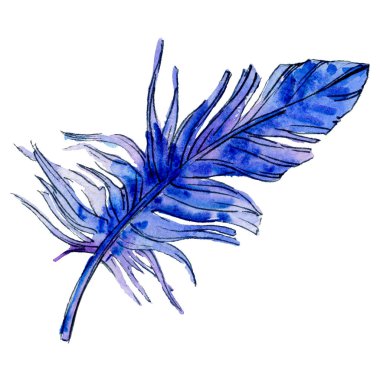 Suluboya kuş tüyü izole kanat üzerinden.