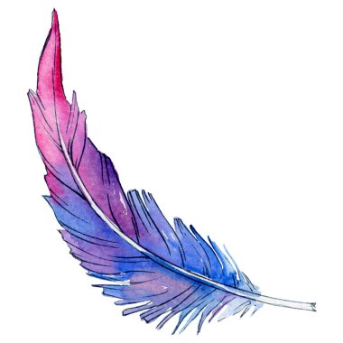 Suluboya kuş tüyü izole kanat üzerinden.