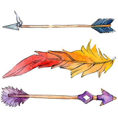 Suluboya kuş tüyü izole kanat üzerinden.