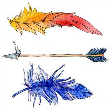 Suluboya kuş tüyü izole kanat üzerinden.