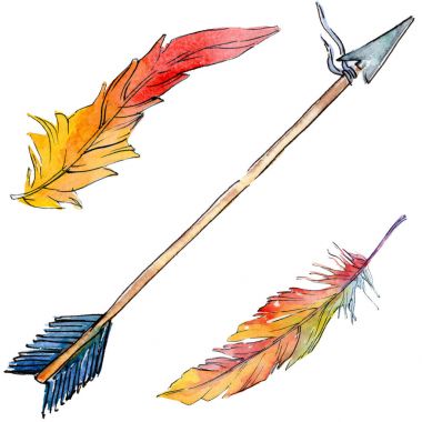 Suluboya kuş tüyü izole kanat üzerinden.