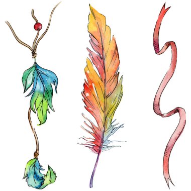 Suluboya kuş tüyü izole kanat üzerinden.