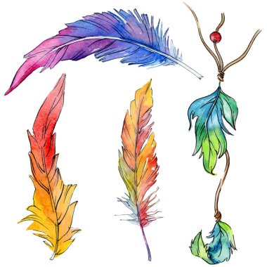 Suluboya kuş tüyü izole kanat üzerinden.