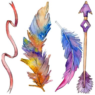 Suluboya kuş tüyü izole kanat üzerinden.