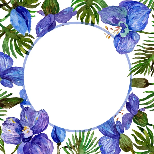 Kır çiçeği orkide çiçek çerçeve suluboya tarzında.