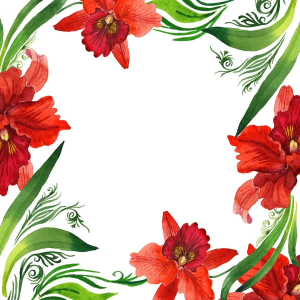 Wildflower orchid flower frame in a watercolor style. — Stock Photo, Image