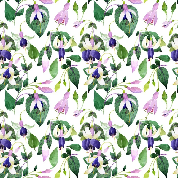 Wildflower fuchsia flower pattern in a watercolor style. — Stock Photo, Image