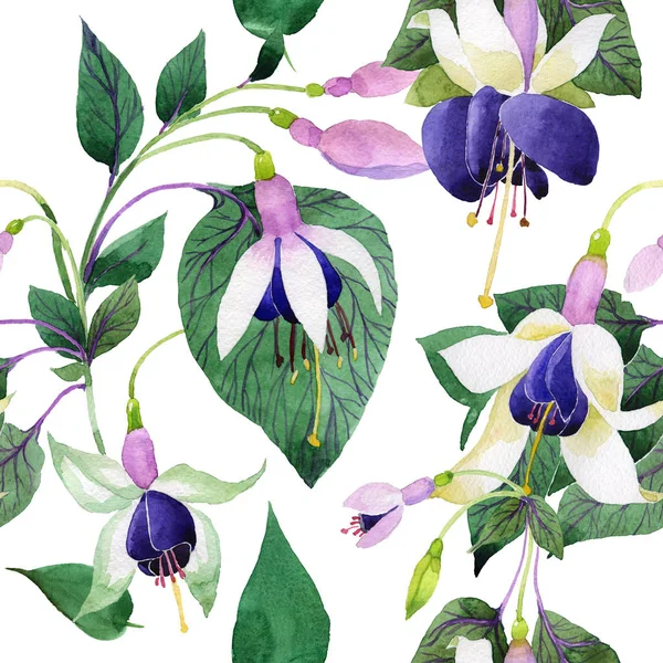 Kır çiçeği fuşya çiçek deseni suluboya tarzında.