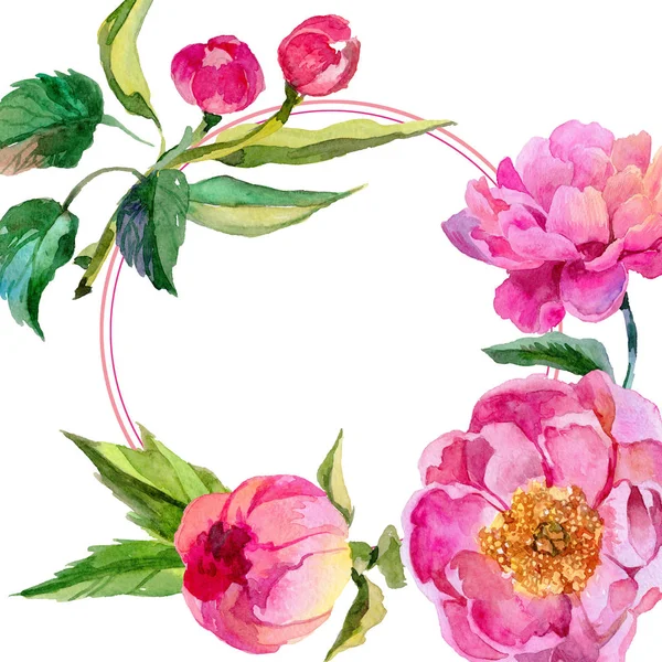 Kır çiçeği peonies çiçek çerçeve suluboya tarzında.