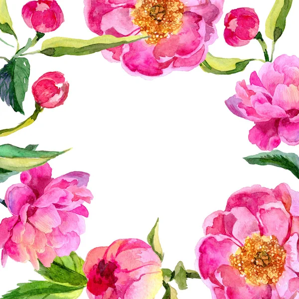 Pivoines de fleurs sauvages cadre de fleur dans un style aquarelle . — Photo