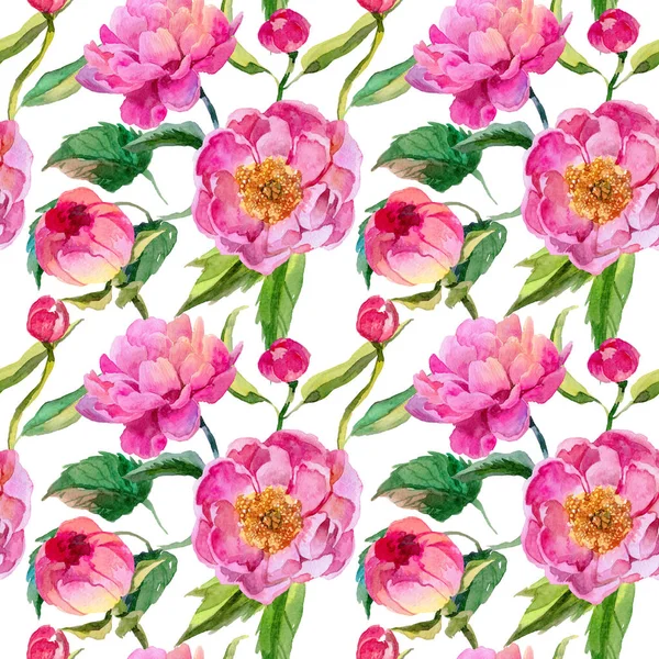 Kır çiçeği peonies çiçek deseni suluboya tarzında.
