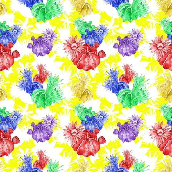 Wildflower κάκτος λουλούδι μοτίβο σε στυλ υδροχρώματος. — Φωτογραφία Αρχείου