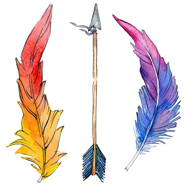 Suluboya kuş tüyü izole kanat üzerinden.