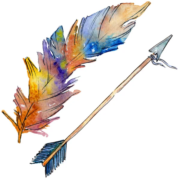 Suluboya kuş tüyü izole kanat üzerinden.