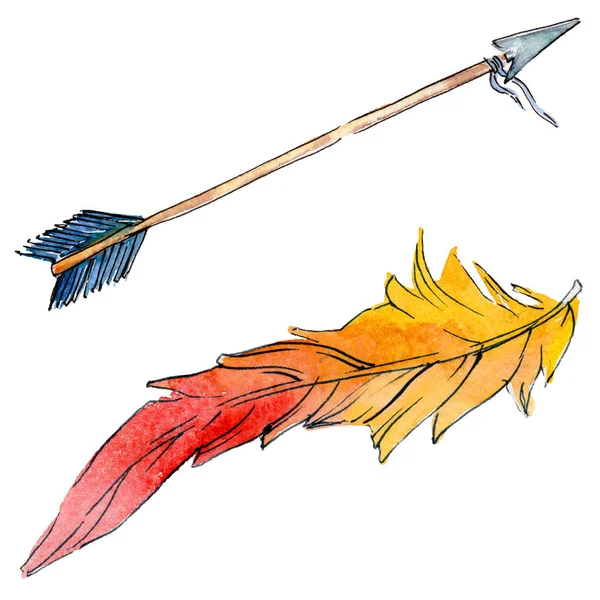 Suluboya kuş tüyü izole kanat üzerinden.