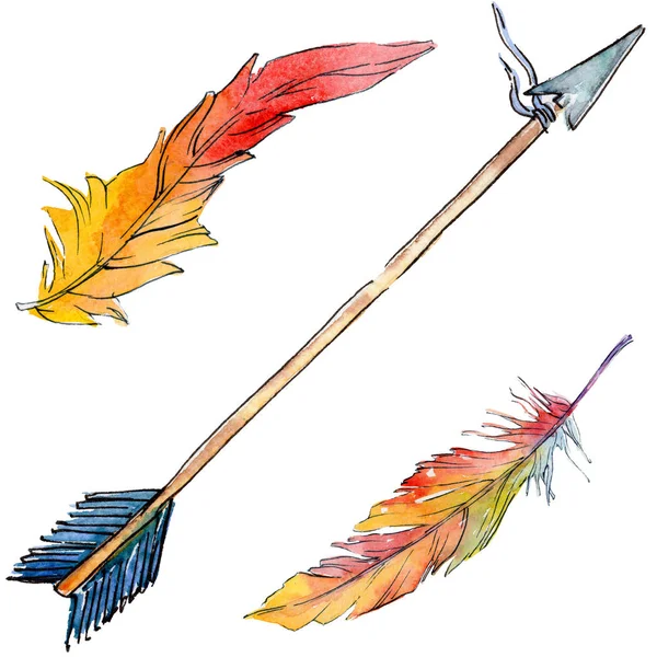 Suluboya kuş tüyü izole kanat üzerinden.