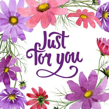 Kır çiçeği kosmeya çiçek çerçeve suluboya tarzında.