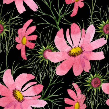 Kır çiçeği kosmeya çiçek deseni suluboya tarzında.