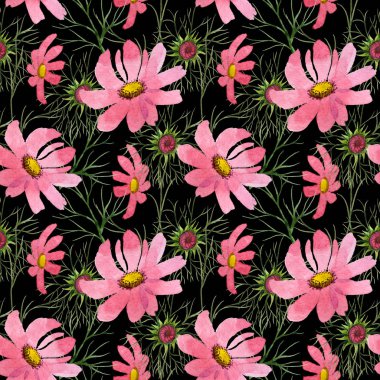 Kır çiçeği kosmeya çiçek deseni suluboya tarzında.