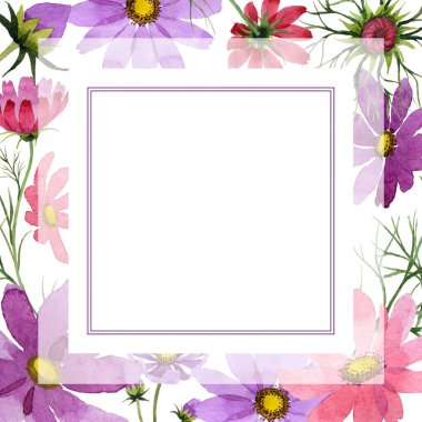 Kır çiçeği kosmeya çiçek çerçeve suluboya tarzında.