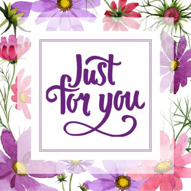 Kır çiçeği kosmeya çiçek çerçeve suluboya tarzında.