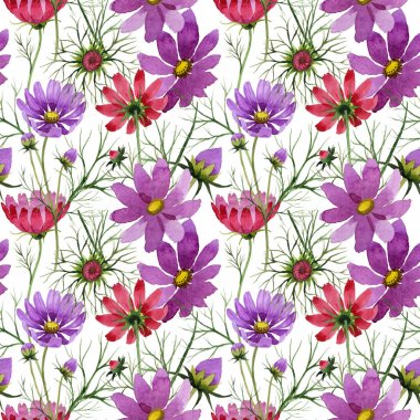 Kır çiçeği kosmeya çiçek deseni suluboya tarzında.