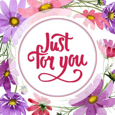 Kır çiçeği kosmeya çiçek çerçeve suluboya tarzında.