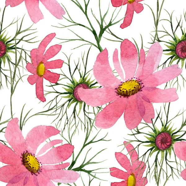 Kır çiçeği kosmeya çiçek deseni suluboya tarzında.