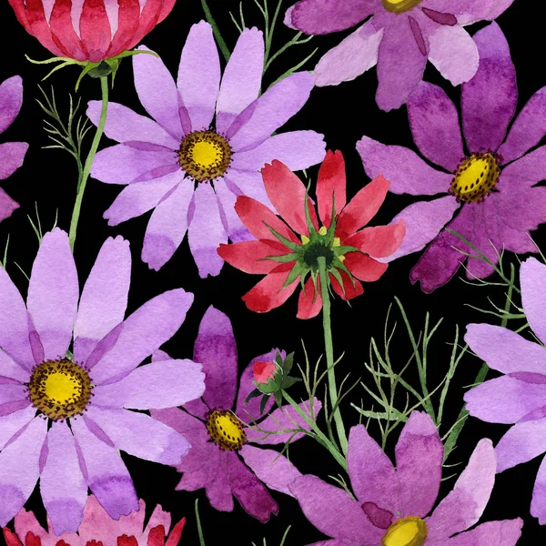 Wildflower kosmeya kwiatki w stylu przypominającym akwarele. — Zdjęcie stockowe