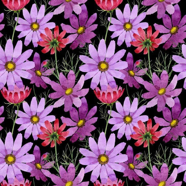 Fleur sauvage motif de fleurs kosmeya dans un style aquarelle . — Photo
