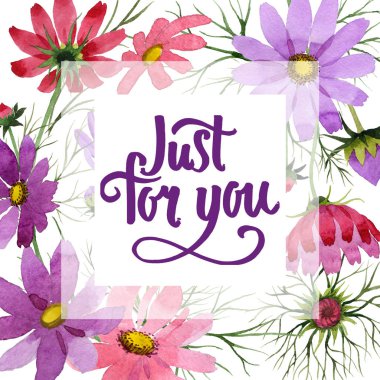 Kır çiçeği kosmeya çiçek çerçeve suluboya tarzında.