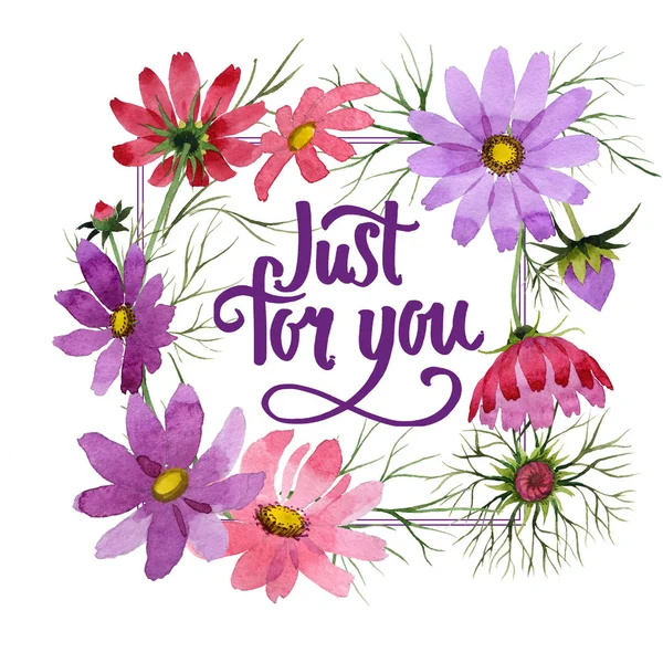 Kır çiçeği kosmeya çiçek çerçeve suluboya tarzında.